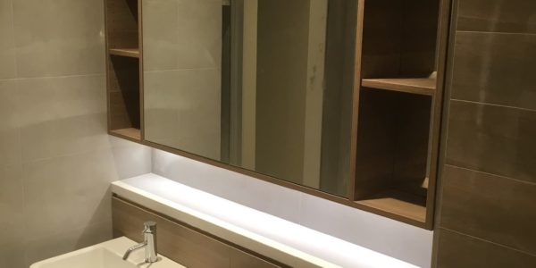 display suite northwest bathroom sink and mirror